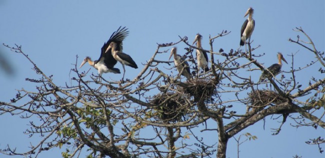 Spiritual Bhutan Tour with Tiger’s Nest Hike